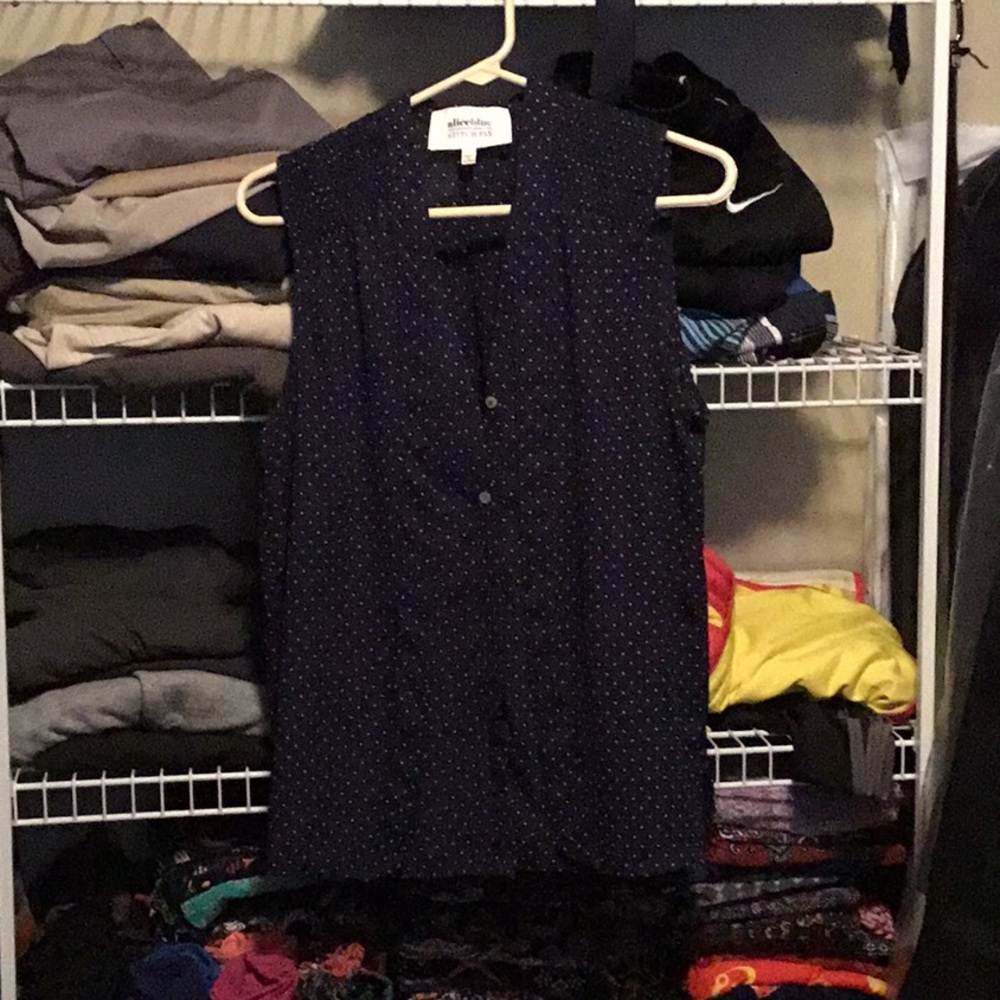 Sleeveless Top (bought off Stitch Fix)